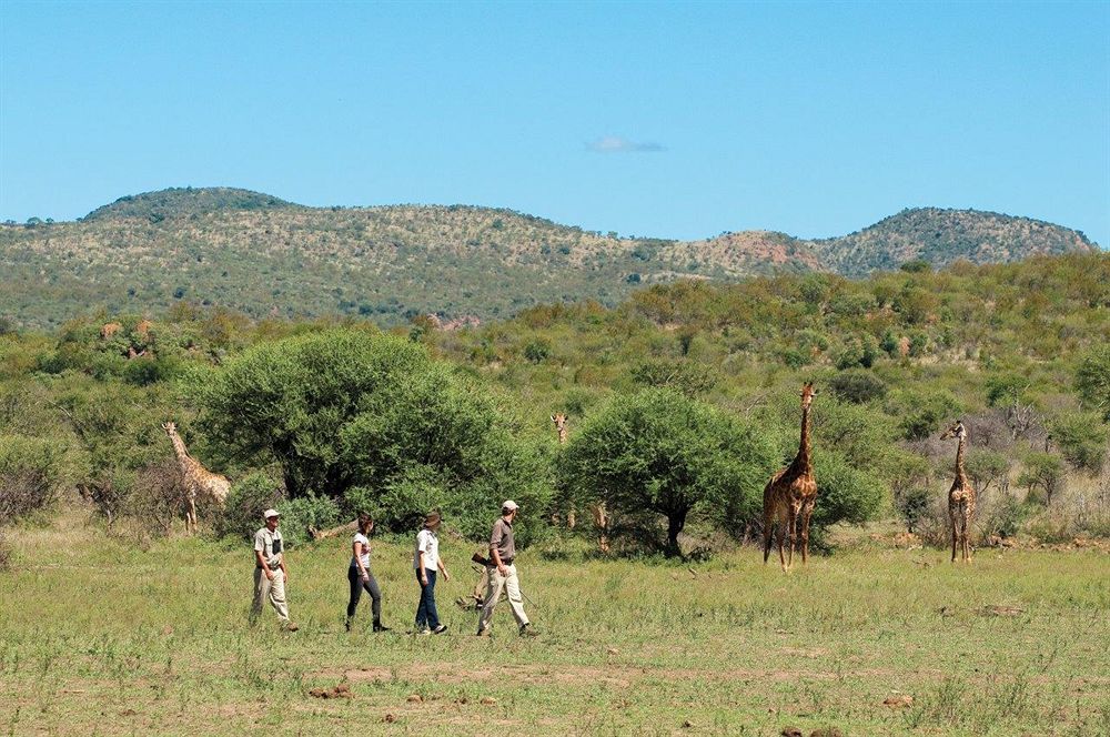 Madikwe River Lodge NORTH WEST Extérieur photo